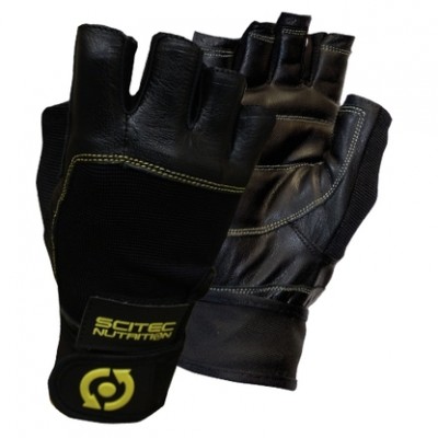 Scitec Nutrition Yellow Leather Style