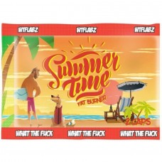 Пробник Жиросжигателя Summer time WTF LABZ (2 капсулы)