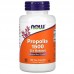 Now Foods,   Антиоксидант, Прополис 1500, 100 растительных капсул