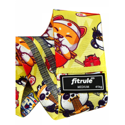 FitRule Фитнес-резинка принтованная тканевая (спагетти, 41 кг)